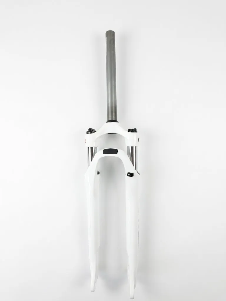 vilica bela 1.webp