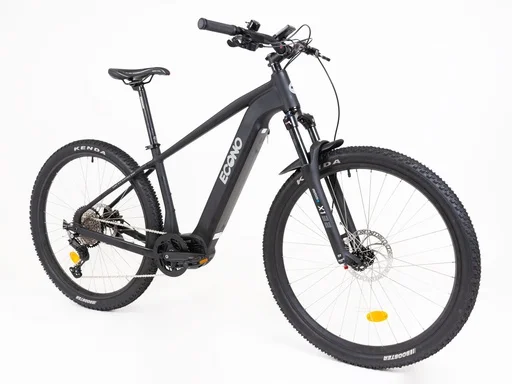 Electric bike ECONO Gams C6 120 Matt black 2024