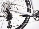 DSC_7541.webp