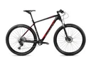 Mountain bike ROMET MONSUN LTD