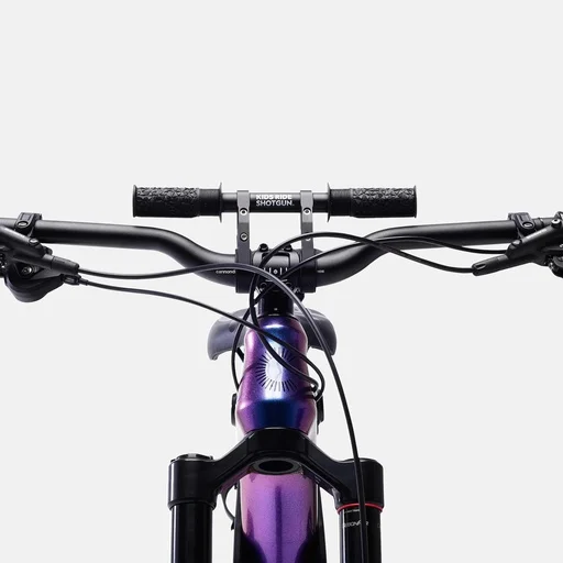 Kids Ride Shotgun handlebar 2.0