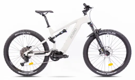 Electric bike ECONO Pantera C6 120 Gray 2025 (L, 700Wh (20Ah))