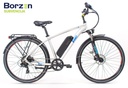 Electric bike ECONO Apes 2M 2024