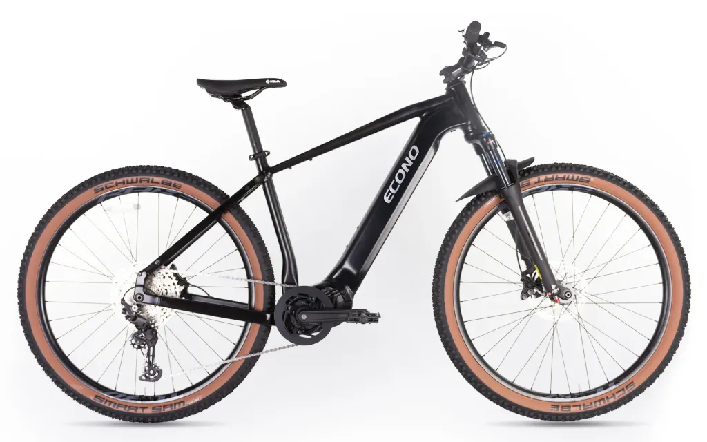 Electric bike ECONO Gams MTB 29 C6 Matt black, 2026