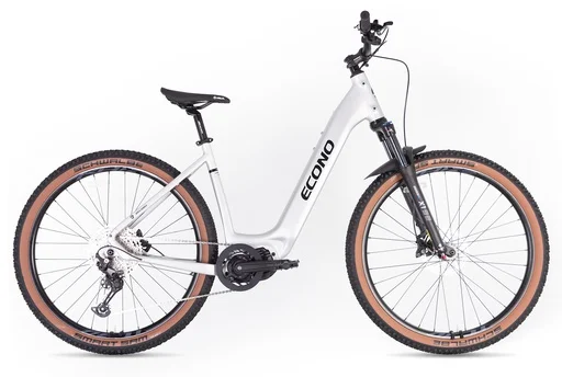 Electric bike ECONO Gams MTB 29 EEC6 Aluminium grey, 2026 (L, 520Wh (15Ah))