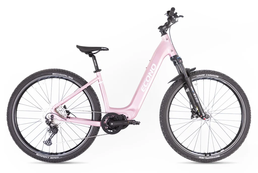 Electric bike ECONO Gams MTB 29 EEC6 Lavandl, 2026