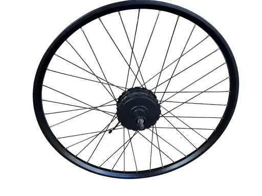 Rear wheelset 28'' REVO D Bafang H305 W:25C H:19 13G/36H/disk/black