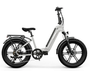 Folding Ebike TST Buddy PRO 20'' Fat Tire Foldable E-bike, 4.0 Tire