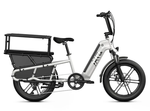 Električno kolo TST Carrier 20'' Long Tail Cargo E-bike, 3.0 Tire