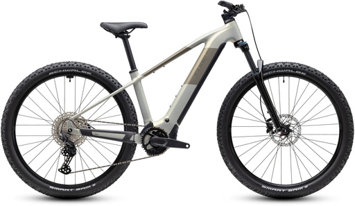 Electric bike Cube Reaction Hybrid ONE 720 pearlsilver´n´chrome 2027 (S)