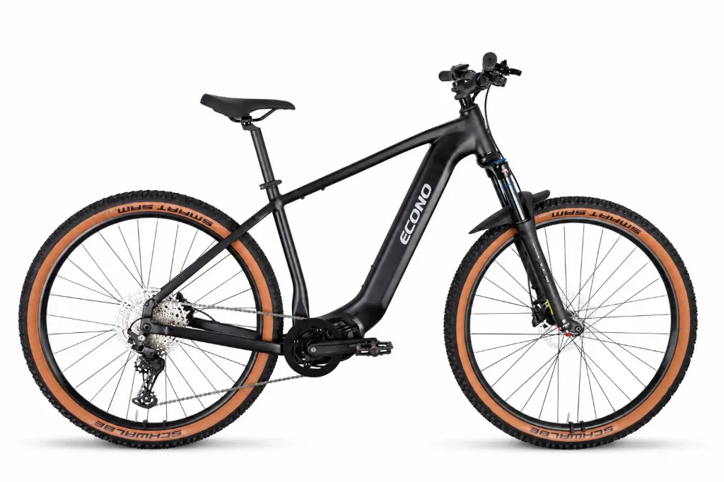 SAMPLE E-bike ECONO GAMS MTB 29 C6 Matt black 2027 Size: L  Battery: 700Wh