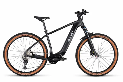 SAMPLE E-bike ECONO GAMS MTB 29 C6 Matt black 2027 Size: L  Battery: 700Wh