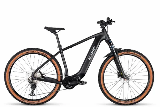 Electric bike ECONO Gams MTB 29 HTC6 Matt black 2027 (M, 600Wh (16.5Ah))