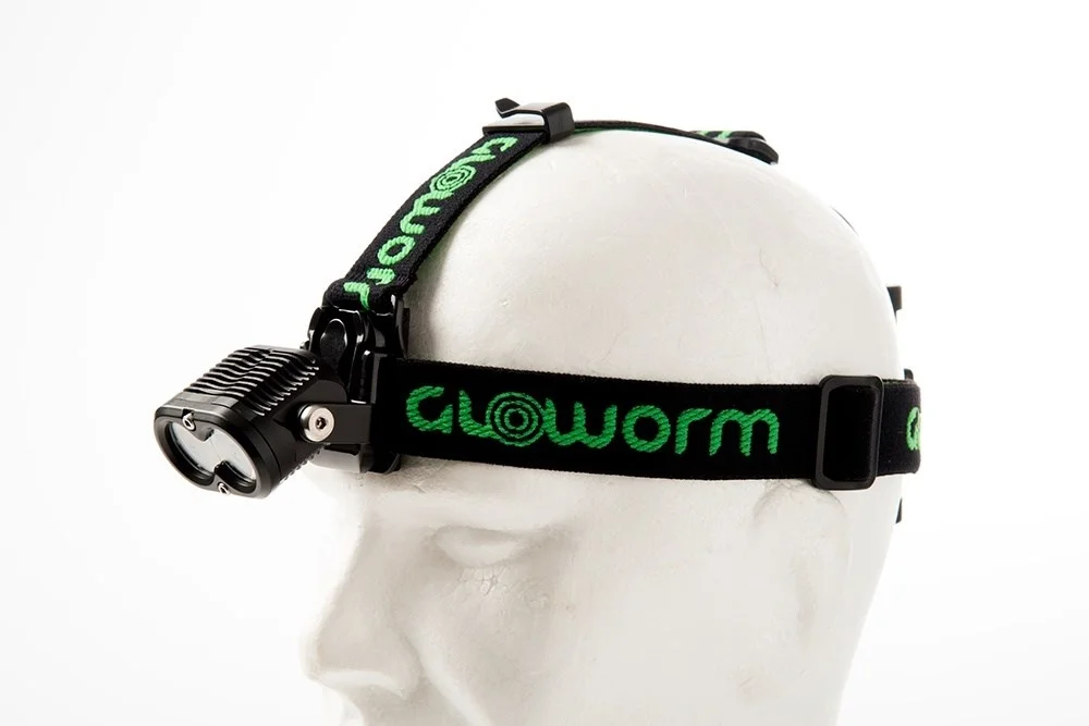 Gloworm's head strap adjustable