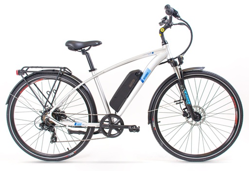 Electric bike ECONO Apes 2M 2024