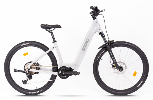 Electric bike ECONO Gams MTB EEC5 Grey 2025